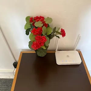 Rose View , Лиссабон Португалия